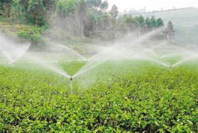 温室大棚蔬菜主要节水灌溉技术介绍